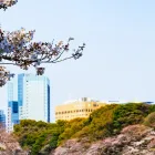 学校の特色